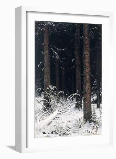 Spruce Forest in Winter, 1884-Ivan Ivanovitch Shishkin-Framed Giclee Print