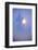 Spruce, Full Moon Seen Through Fog, Piatra Craiului Np, Southern Carpathian Mountains, Romania-Dörr-Framed Photographic Print