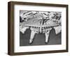 Spruce Goose Cruising-null-Framed Photographic Print