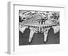 Spruce Goose Cruising-null-Framed Photographic Print