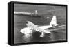 Spruce Goose Landing on the Water-null-Framed Stretched Canvas