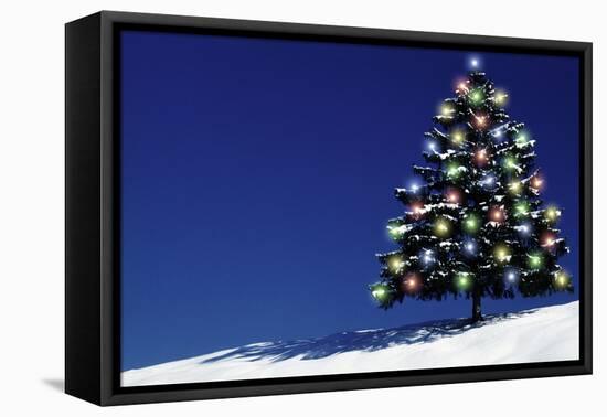 Spruce Tree with Lights-null-Framed Stretched Canvas