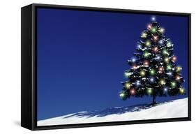 Spruce Tree with Lights-null-Framed Stretched Canvas