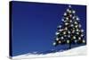 Spruce Tree with Lights-null-Stretched Canvas