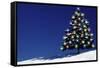 Spruce Tree with Lights-null-Framed Stretched Canvas