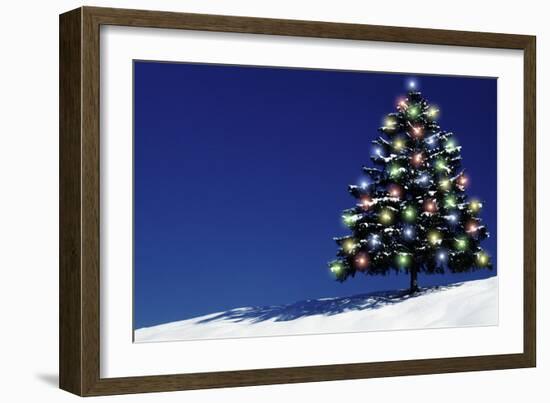 Spruce Tree with Lights-null-Framed Photographic Print