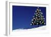 Spruce Tree with Lights-null-Framed Photographic Print