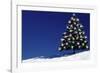 Spruce Tree with Lights-null-Framed Photographic Print