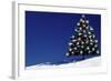 Spruce Tree with Lights-null-Framed Photographic Print