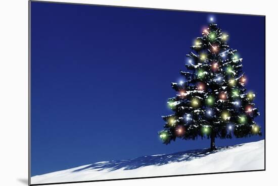 Spruce Tree with Lights-null-Mounted Photographic Print