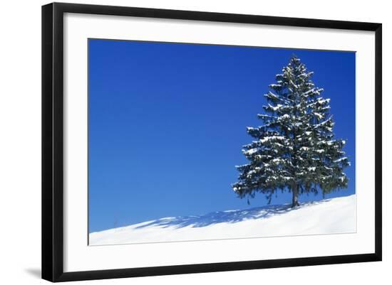 Premium Photographic Print, , large