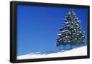 Essential Black