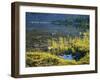 Spruce Trees Along Shallow Helen Lake Shore, High Uintas Wilderness, Ashley National Forest, Utah-Scott T. Smith-Framed Photographic Print