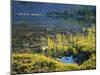 Spruce Trees Along Shallow Helen Lake Shore, High Uintas Wilderness, Ashley National Forest, Utah-Scott T. Smith-Mounted Photographic Print