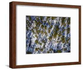 Spruce Trees, Laponian Area, National Park, Stora Sjofallet, Sweden. Drone photography-Panoramic Images-Framed Photographic Print