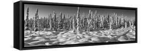 Spruce trees on a snow covered landscape, Chugiak, Anchorage, Alaska, USA-null-Framed Stretched Canvas