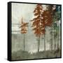 Spruce Woods II-Andrew Michaels-Framed Stretched Canvas