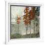 Spruce Woods II-Andrew Michaels-Framed Art Print