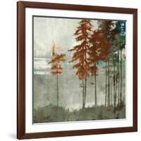 Spruce Woods II-Andrew Michaels-Framed Art Print