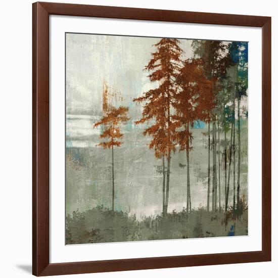 Spruce Woods II-Andrew Michaels-Framed Art Print