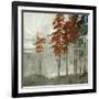 Spruce Woods II-Andrew Michaels-Framed Art Print