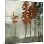 Spruce Woods II-Andrew Michaels-Mounted Art Print