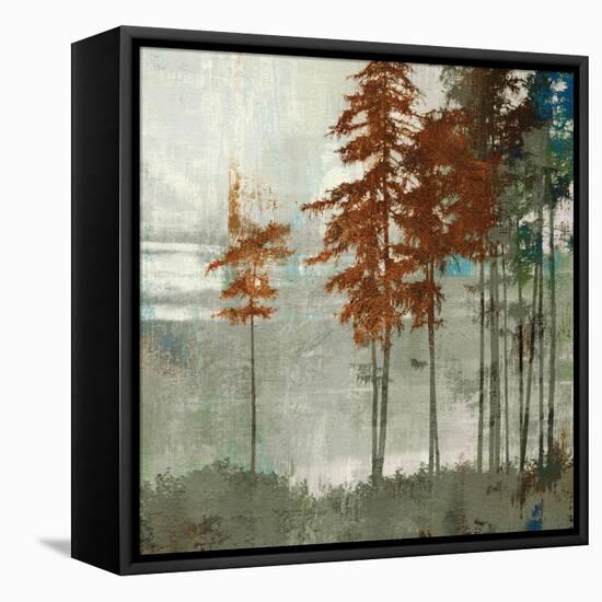Spruce Woods II-Andrew Michaels-Framed Stretched Canvas