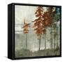 Spruce Woods II-Andrew Michaels-Framed Stretched Canvas