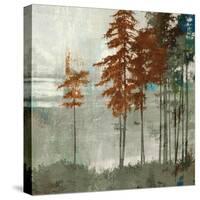 Spruce Woods II-Andrew Michaels-Stretched Canvas