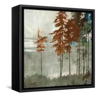 Spruce Woods II-Andrew Michaels-Framed Stretched Canvas