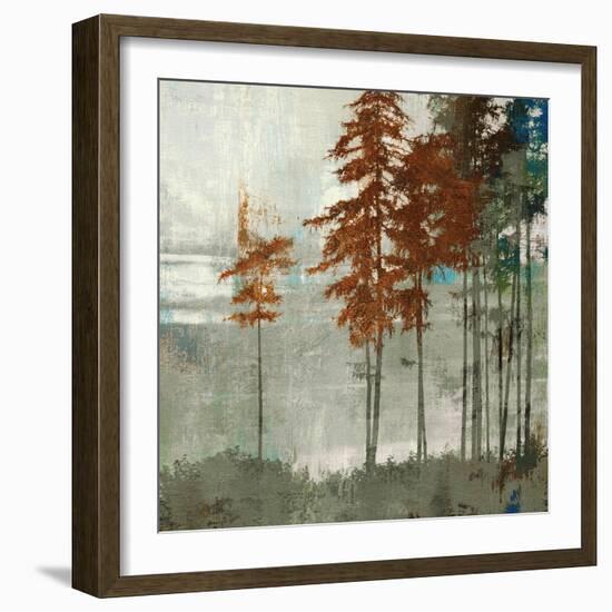 Spruce Woods II-Andrew Michaels-Framed Art Print