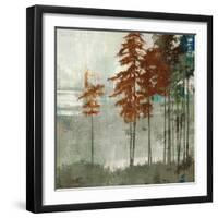 Spruce Woods II-Andrew Michaels-Framed Art Print