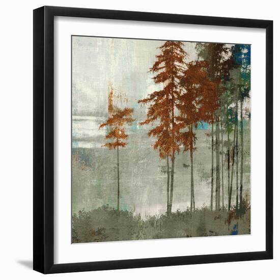 Spruce Woods II-Andrew Michaels-Framed Art Print