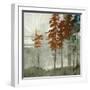 Spruce Woods II-Andrew Michaels-Framed Art Print