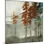 Spruce Woods II-Andrew Michaels-Mounted Art Print