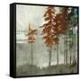 Spruce Woods II-Andrew Michaels-Framed Stretched Canvas