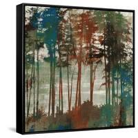 Spruce Woods-Andrew Michaels-Framed Stretched Canvas