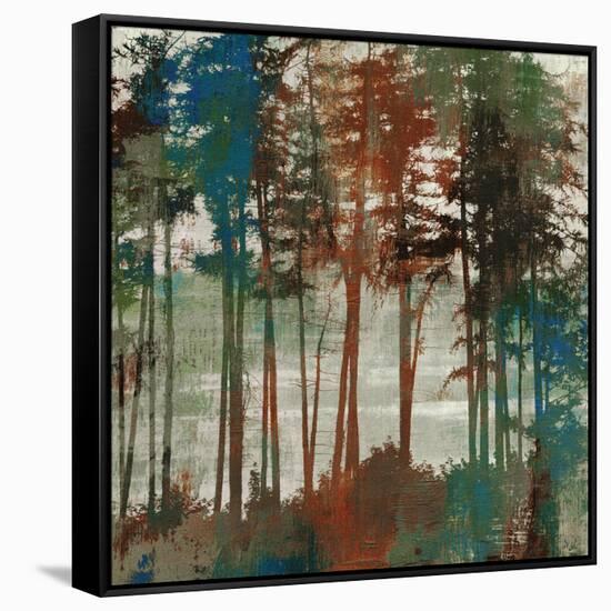 Spruce Woods-Andrew Michaels-Framed Stretched Canvas