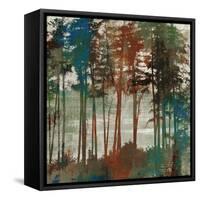Spruce Woods-Andrew Michaels-Framed Stretched Canvas