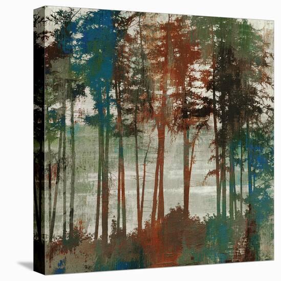 Spruce Woods-Andrew Michaels-Stretched Canvas