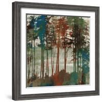 Spruce Woods-Andrew Michaels-Framed Art Print