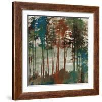 Spruce Woods-Andrew Michaels-Framed Art Print