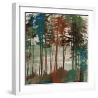 Spruce Woods-Andrew Michaels-Framed Art Print