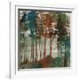 Spruce Woods-Andrew Michaels-Framed Giclee Print