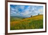 Sprung I-Mark Geistweite-Framed Photographic Print