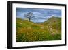 Sprung II-Mark Geistweite-Framed Premium Photographic Print