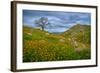 Sprung II-Mark Geistweite-Framed Photographic Print