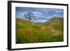 Sprung II-Mark Geistweite-Framed Photographic Print