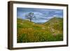 Sprung II-Mark Geistweite-Framed Photographic Print