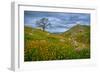 Sprung II-Mark Geistweite-Framed Photographic Print